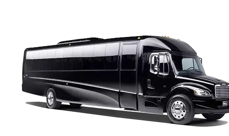 Mini Bus